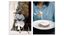 Composite of images of Syrian life by Yamine Daaboul